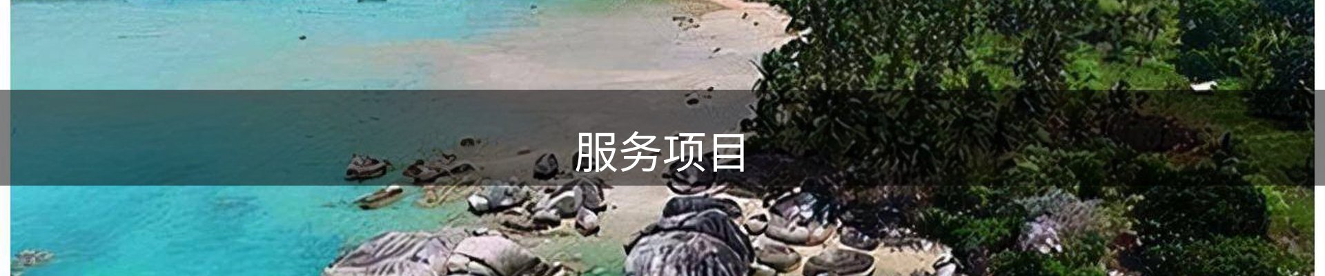服务项目