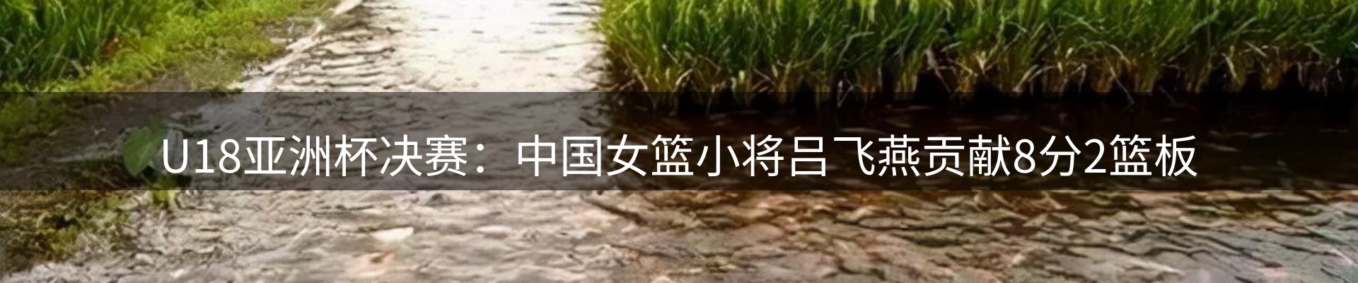 新闻风向
